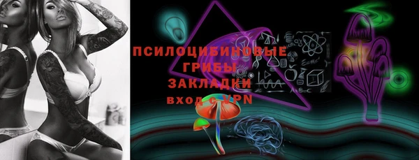 ешки Алексин
