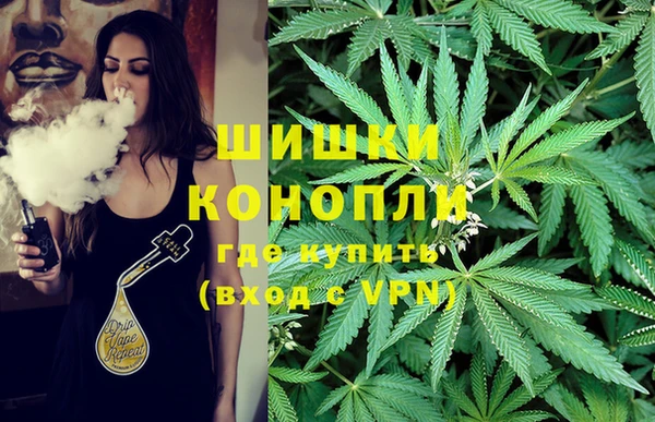 винт Алексеевка