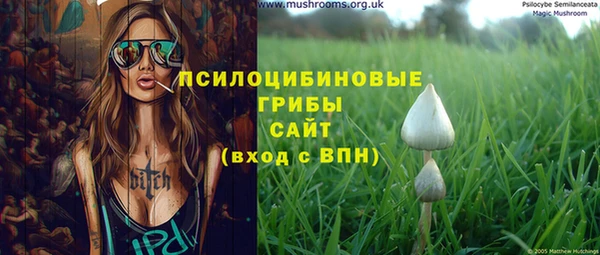 винт Алексеевка