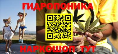 гашик Владивосток