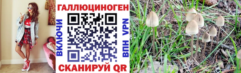 Галлюциногенные грибы MAGIC MUSHROOMS Богородск