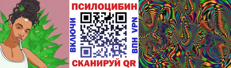 Псилоцибиновые грибы Psilocybe Богородск