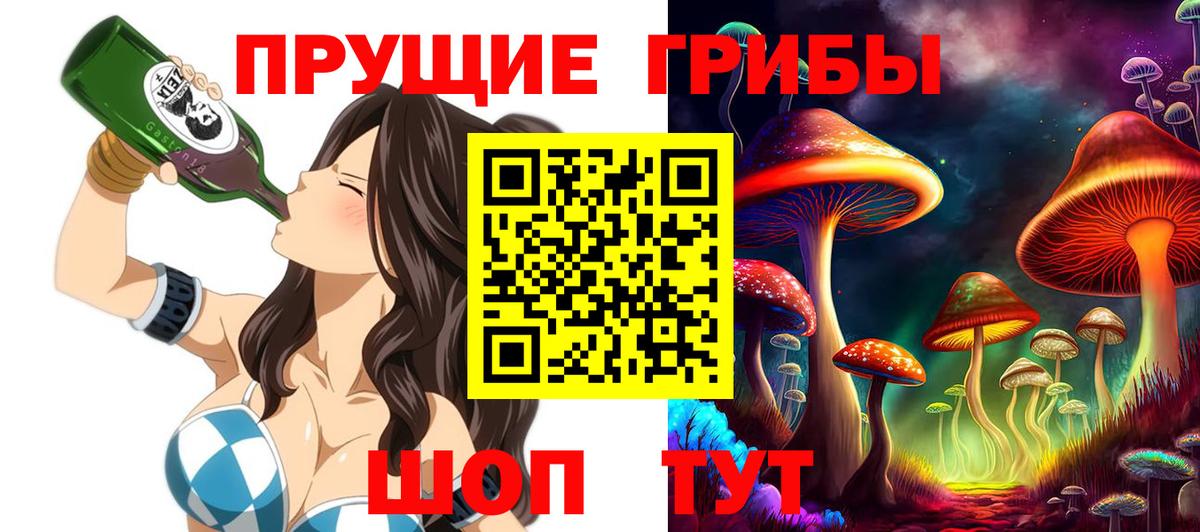 наркошоп  Вход с VPN  Галлюциногенные грибы Magic Shrooms  Богородск  Галлюциногенные грибы ЛСД 